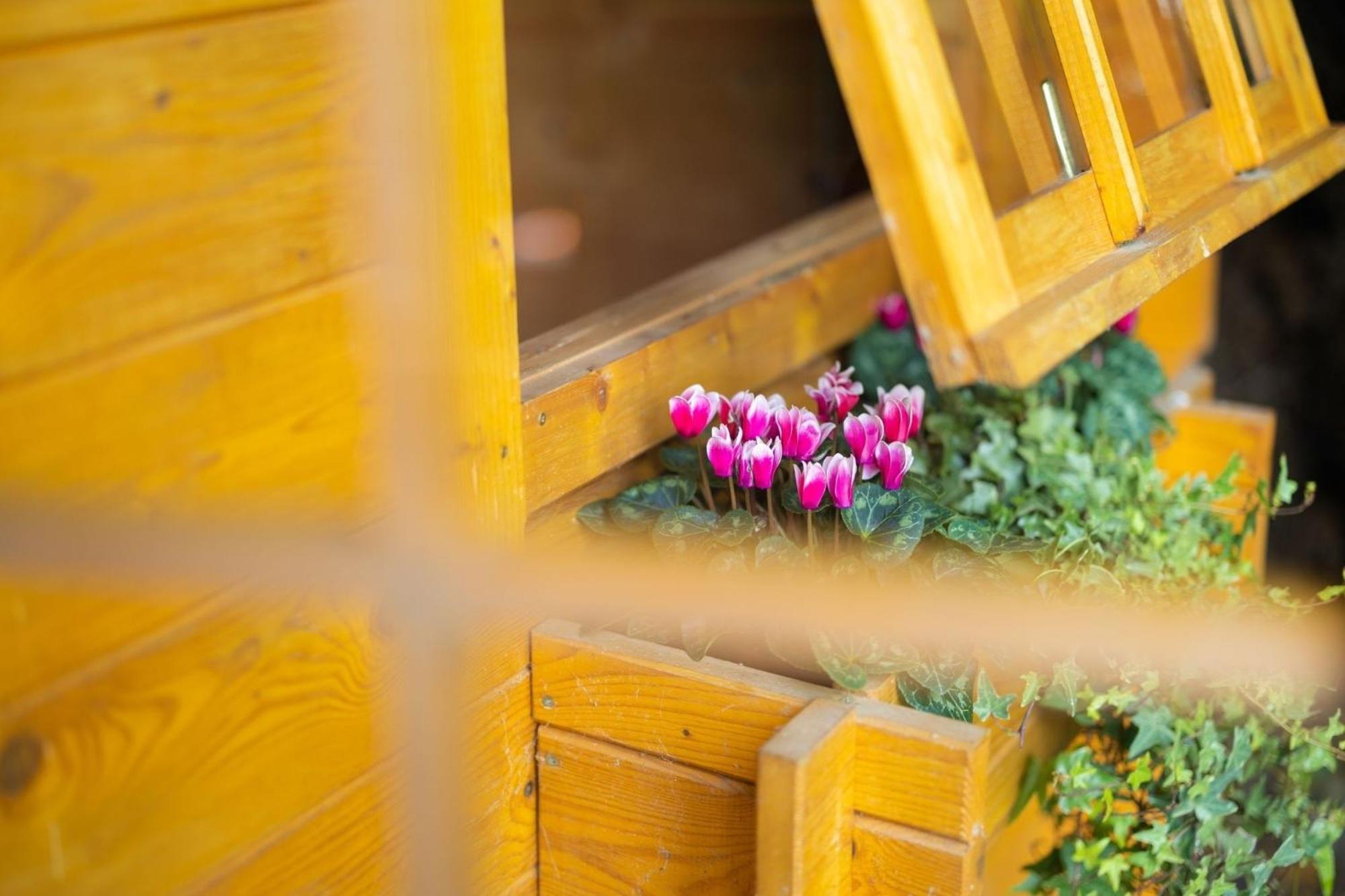 Apartament Gartenfewo Bad Wünnenberg